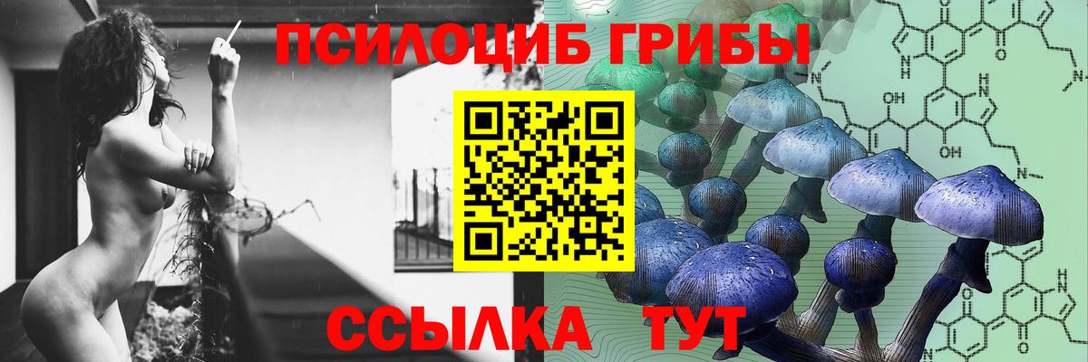 Лабытнанги  Псилоцибиновые грибы ЛСД  как найти закладки  Псилоцибиновые грибы Cubensis  Вход с VPN 